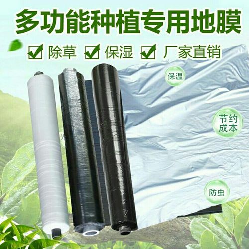 黑色地膜 现代农业的“隐形护盾”，你选对了吗？