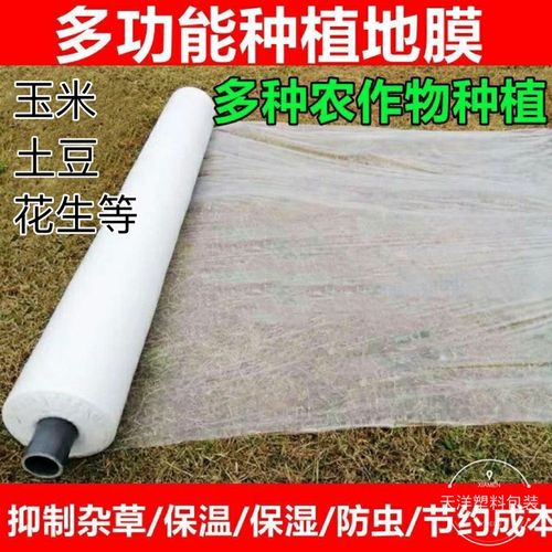 农用薄膜 蔬菜种植中的隐形守护者，你真的选对了吗？