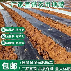农用薄膜市场现状与蔬菜大棚膜精准定价指南