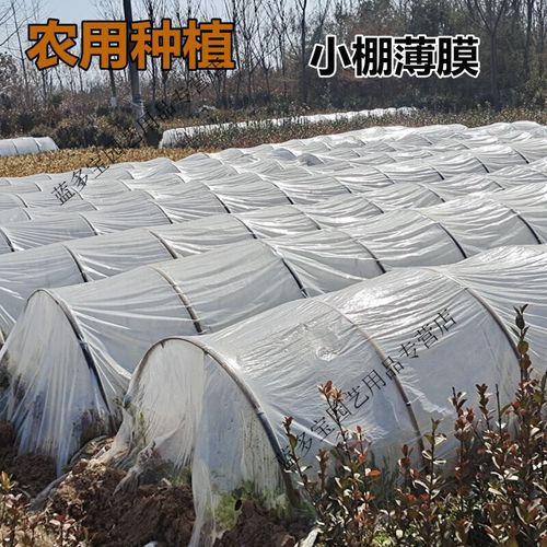 透明塑料薄膜 农业与装修中的多面手，你了解多少？