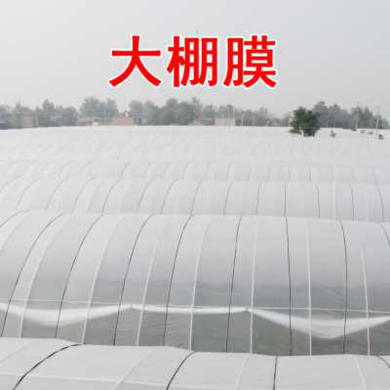 mlhj白色塑料薄膜 农业种植的隐形守护者