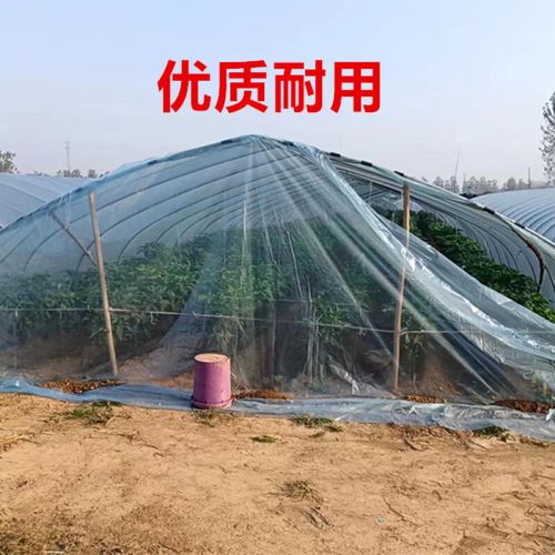 农用西瓜大棚棚头防老化无滴膜 8x2.5米门套的实用解析与选购指南